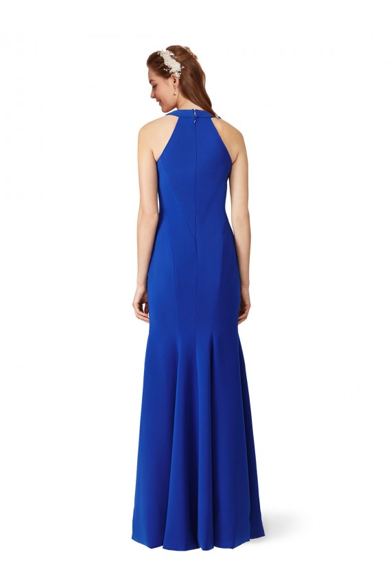 Comprare Blu Reale Stile sirena Scollatura a V Crespo Elastico Lunga Formali Abiti da damigella donore / Abiti da sera / Abiti da ballo